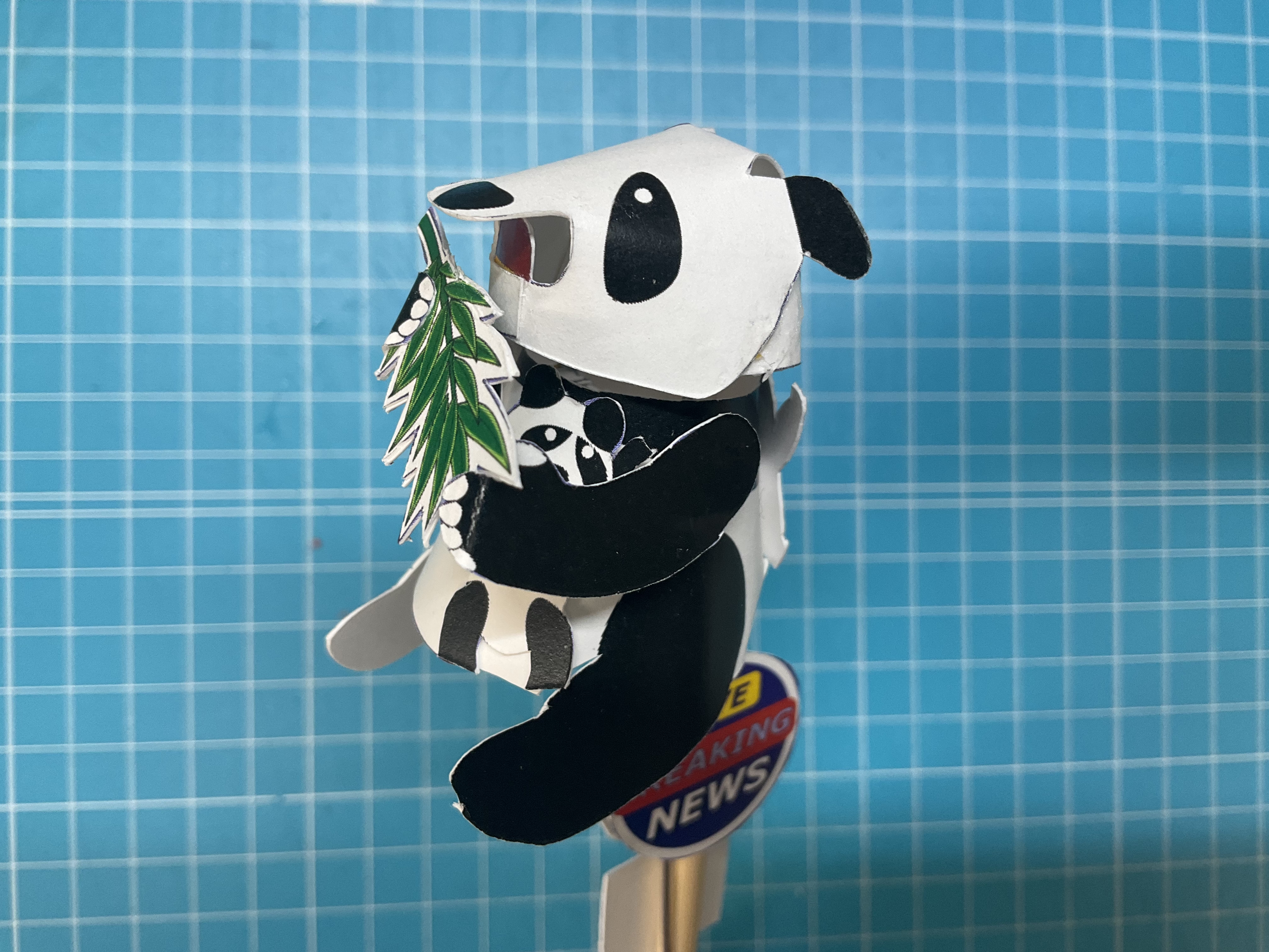 panda1